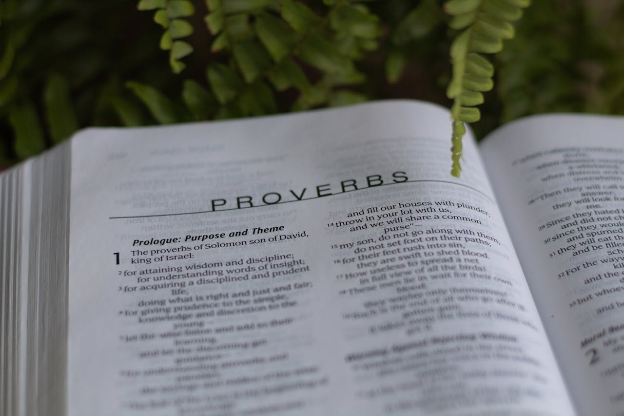 about-us Close-up of an open Bible with the Book of Proverbs, surrounded by greenery.